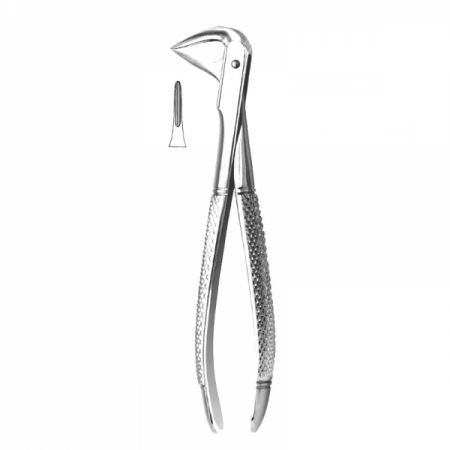 Anterior Forceps 