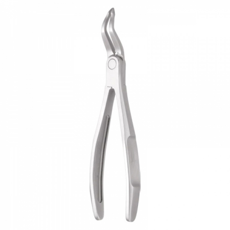 Root Forceps