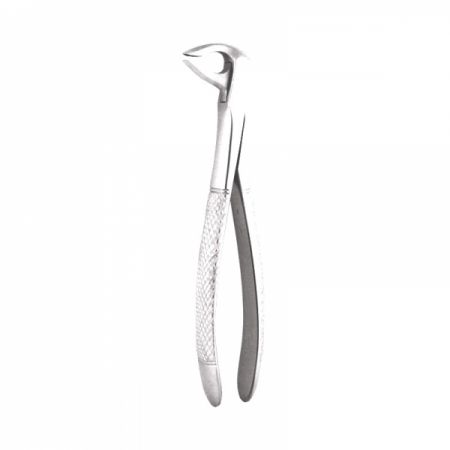 Anterior Forceps 