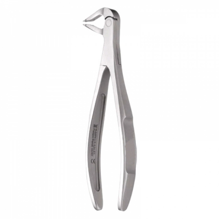 Anterior Forceps