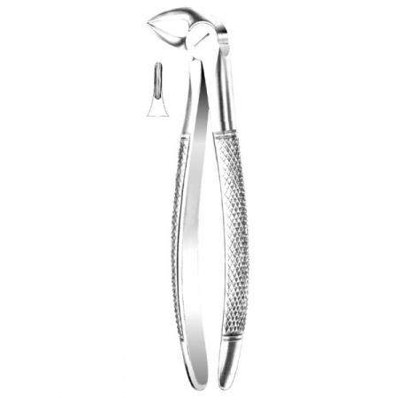 English Pattern Forceps