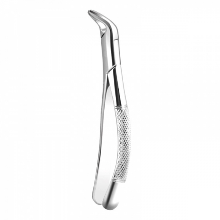 Apical Retention Forceps 