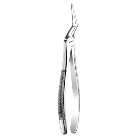 Root Forceps