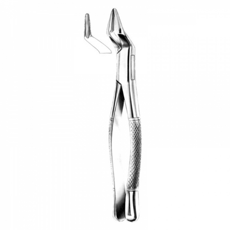 Root Forceps