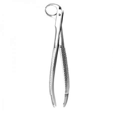 English Pattern Forceps