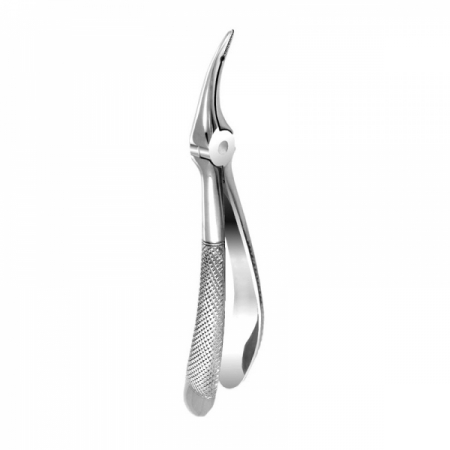 Root Forceps