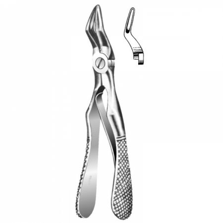 Root Forceps