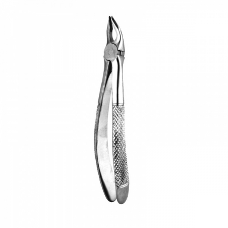 Apical Retention Forceps 