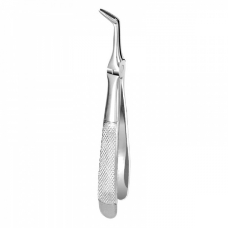 Root Forceps