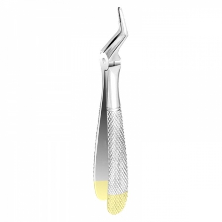 Root Forceps