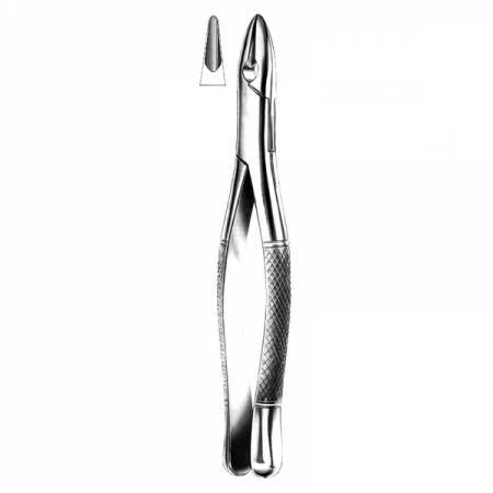 Anterior Forceps 