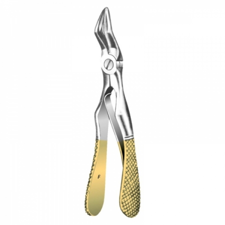 Root Forceps