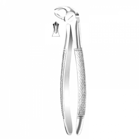 English Pattern Forceps