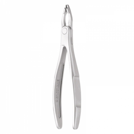 Anterior Forceps