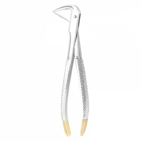 Anterior Forceps 