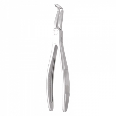 Root Forceps