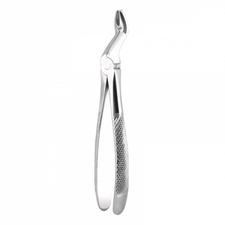 Apical Retention Forceps 