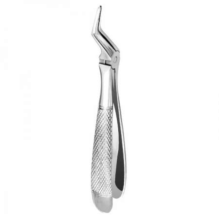 Root Forceps