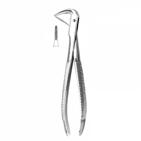 English Pattern Forceps