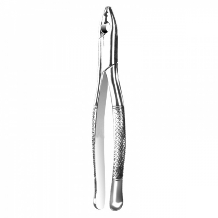 Anterior Forceps 