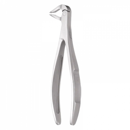 English Pattern Forceps