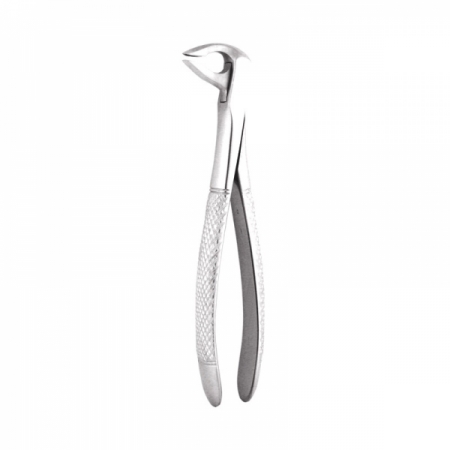 Apical Retention Forceps 