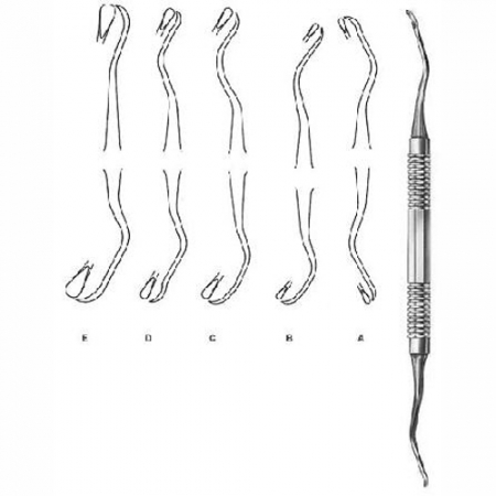 Oral Instruments