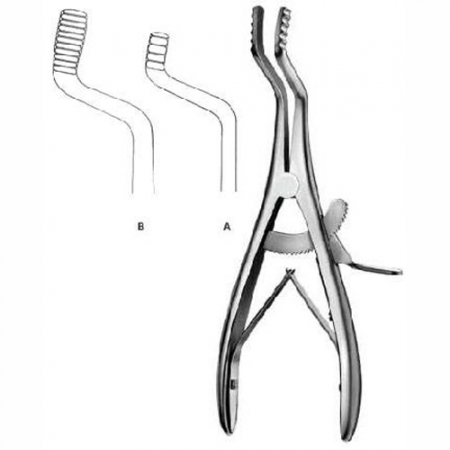 Oral Instruments