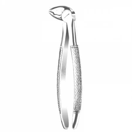 Anterior Forceps 