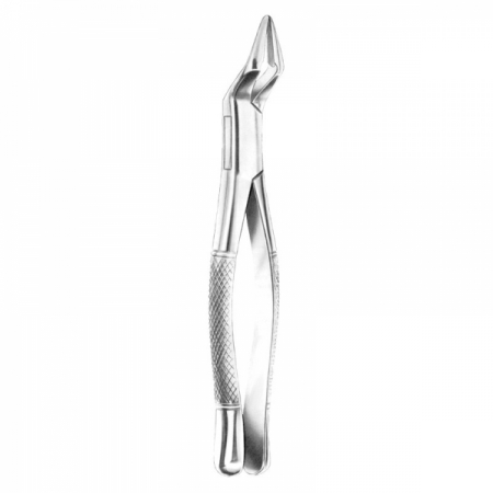 Root Forceps