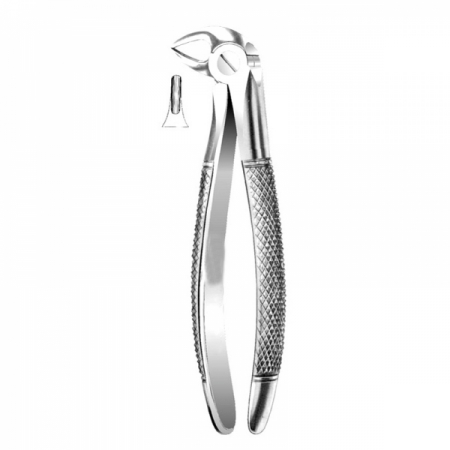 English Pattern Forceps