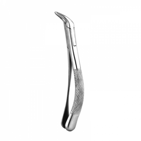 Apical Retention Forceps 