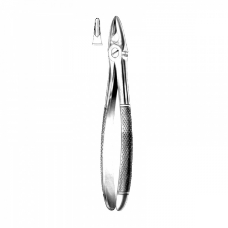 Anterior Forceps 