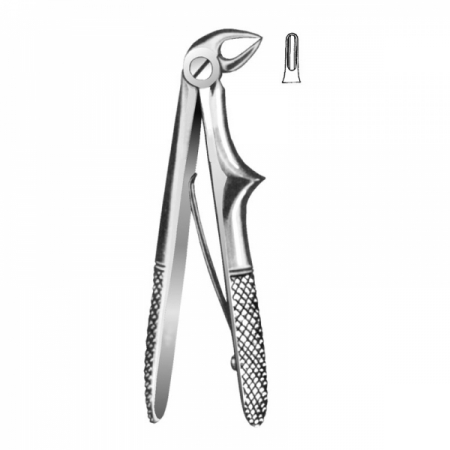 English Pattern Forceps